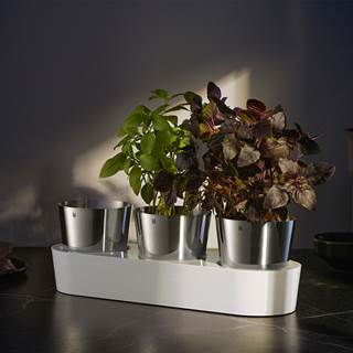 herb garden 3-pieces | outlet price €  54,59