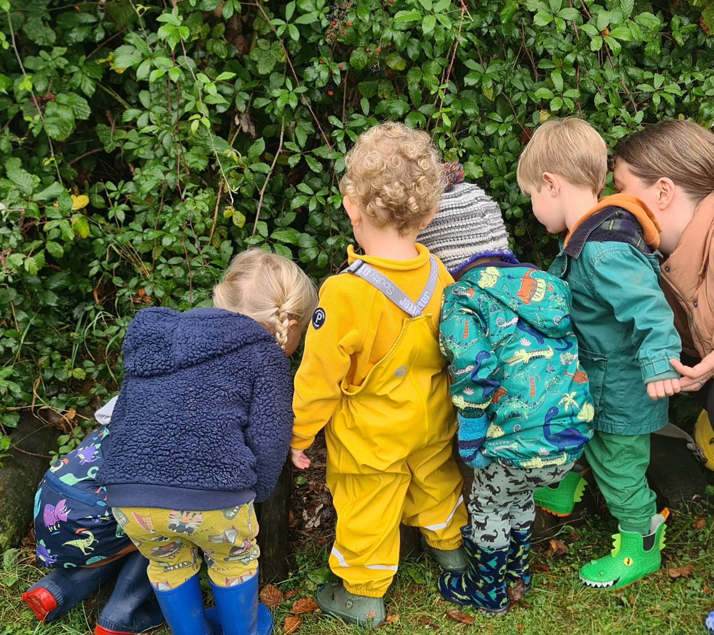 Singleton Environment Centre