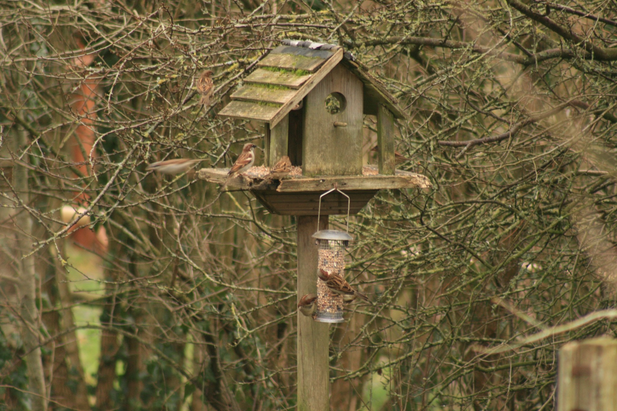 item.ImageAlternativeTextWithFallback